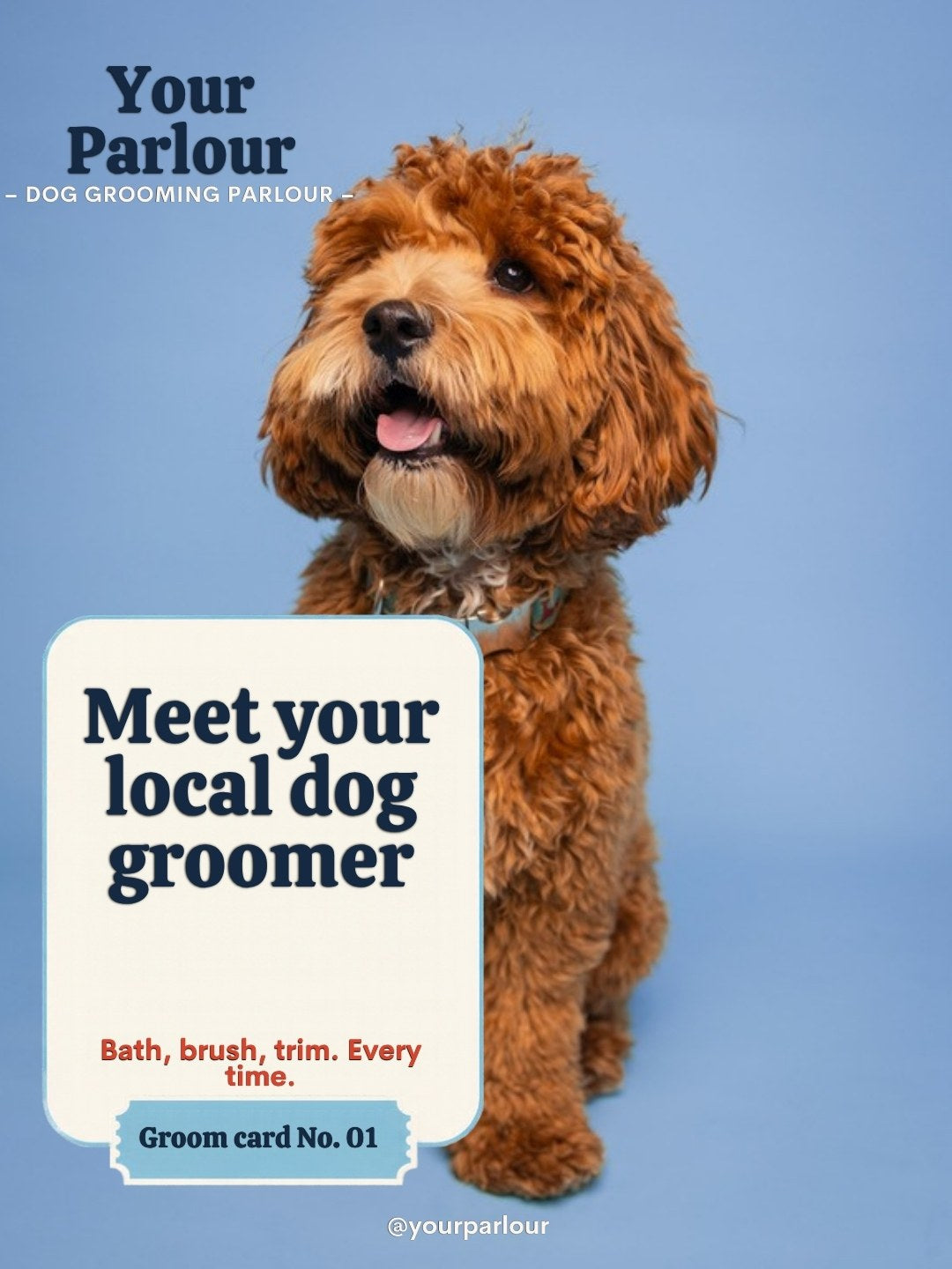 Dog Groomer Pack page 1: intro post filled in with a real dog photo