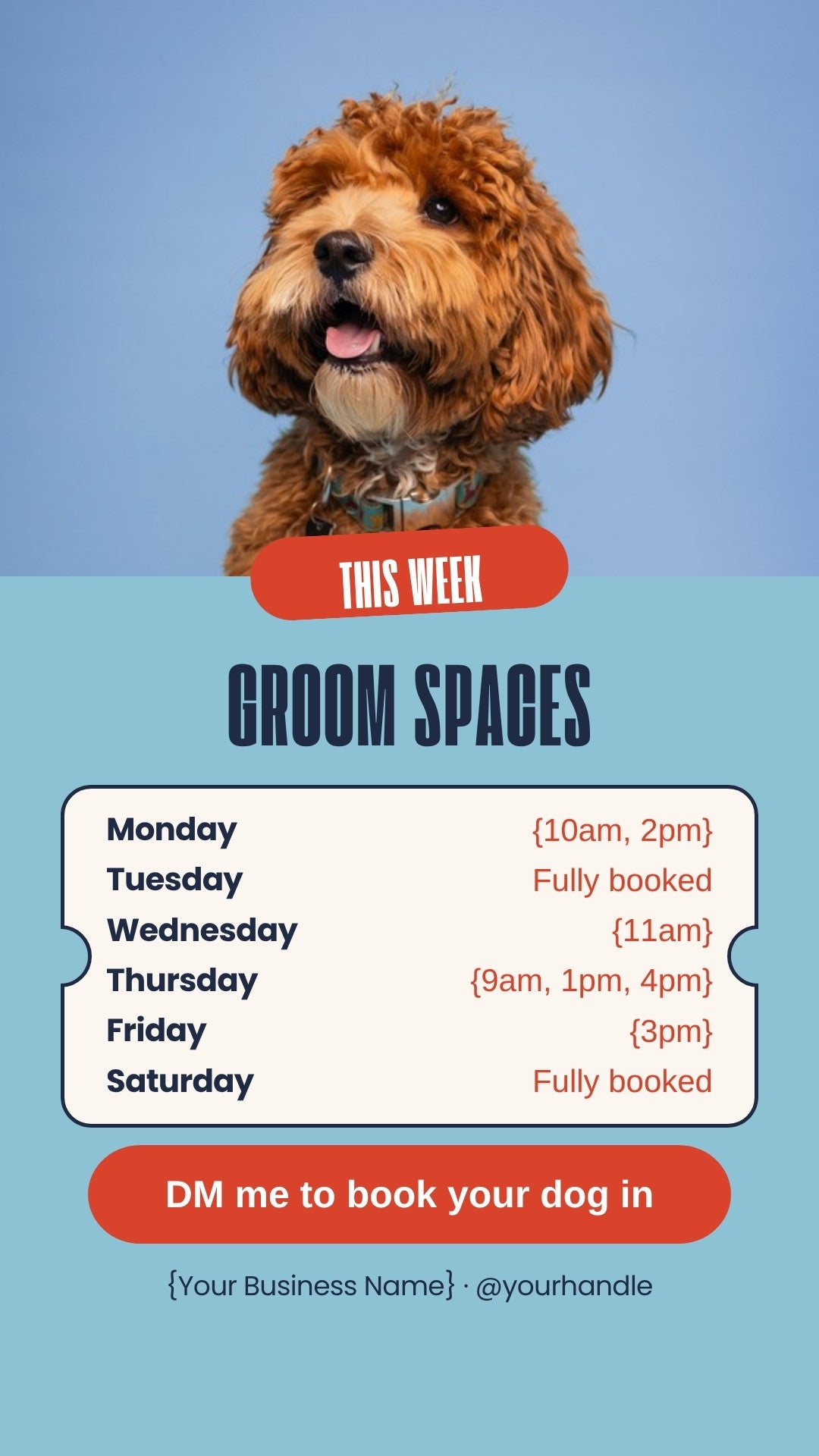Dog Groomer Instagram Stories