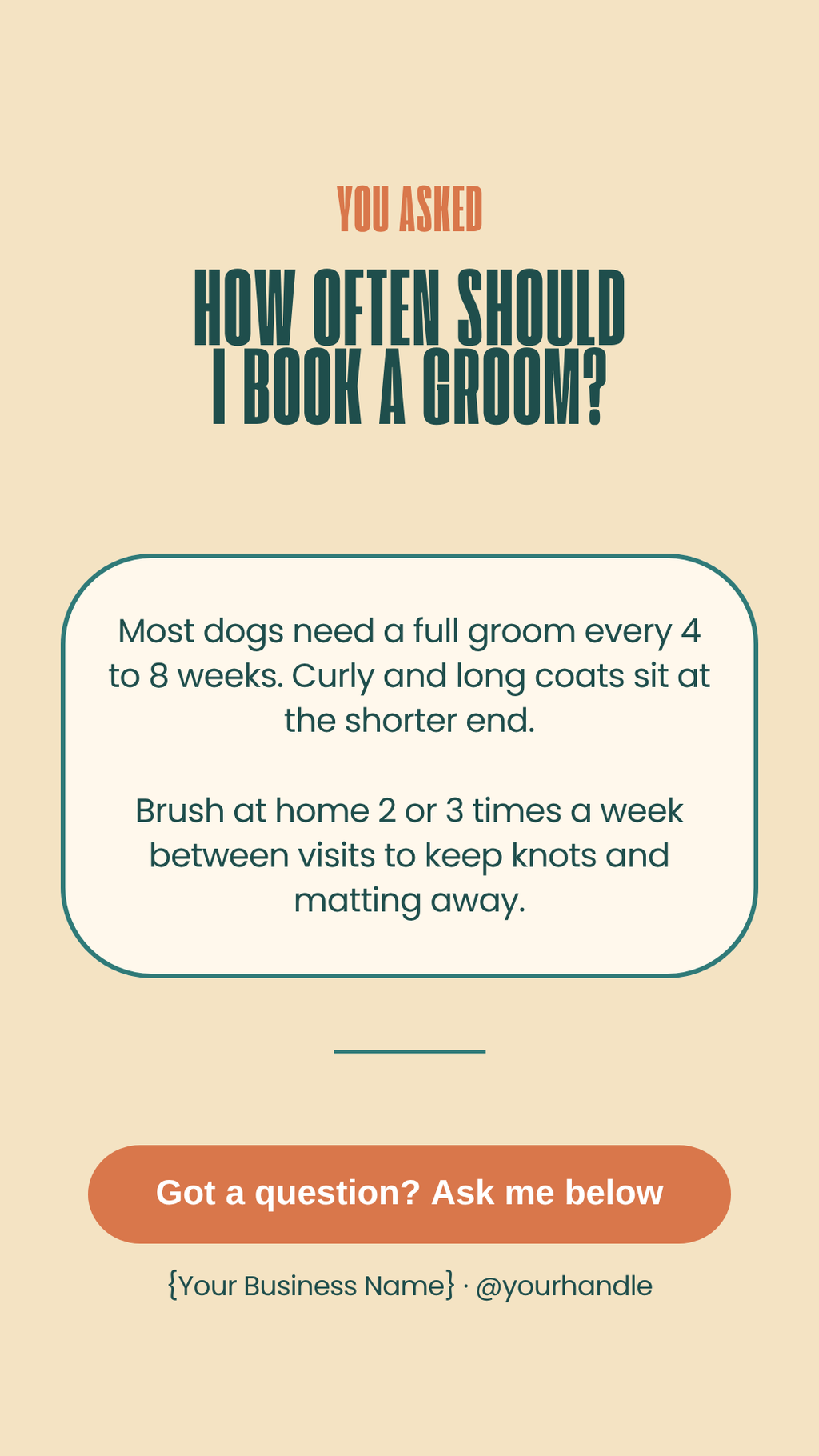 Dog groomer FAQ Story template