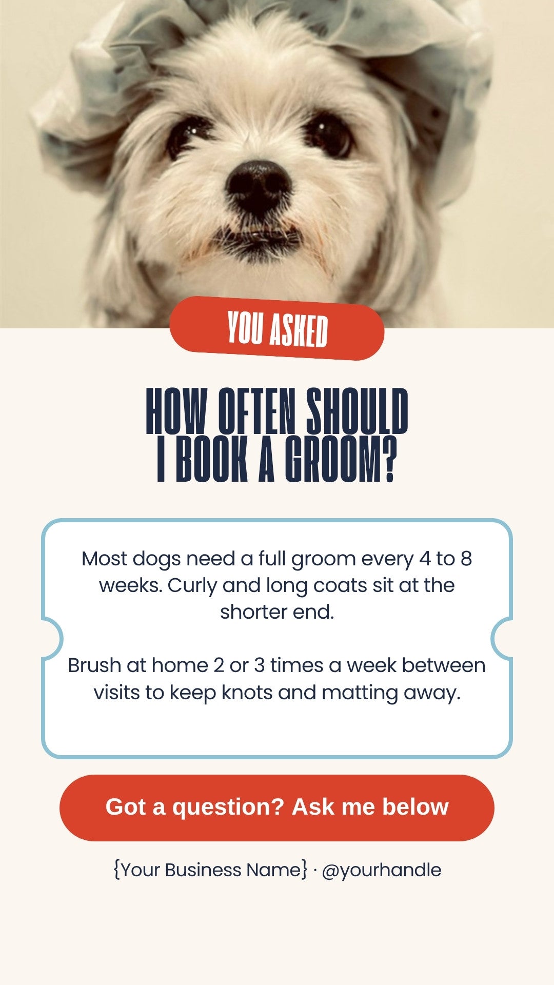 Dog Groomer Instagram Stories