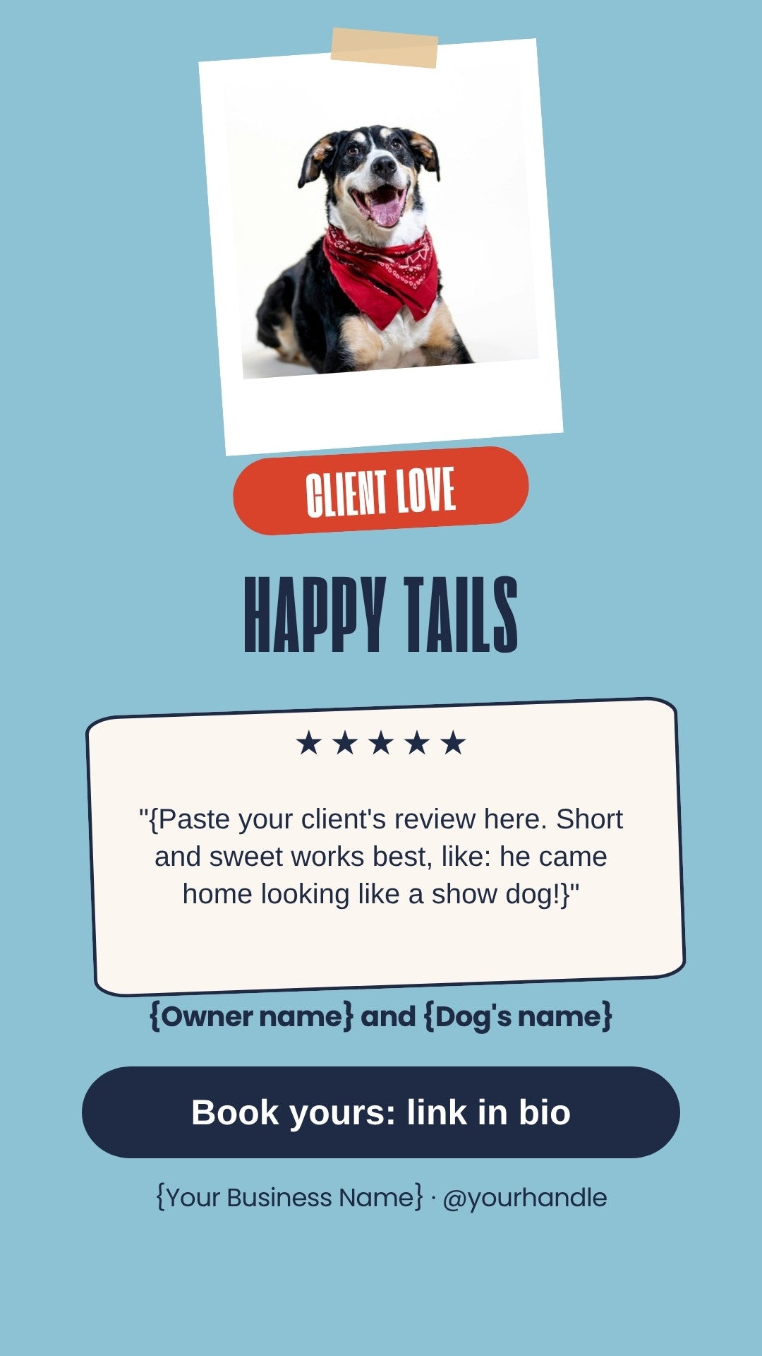 Dog Groomer Instagram Stories