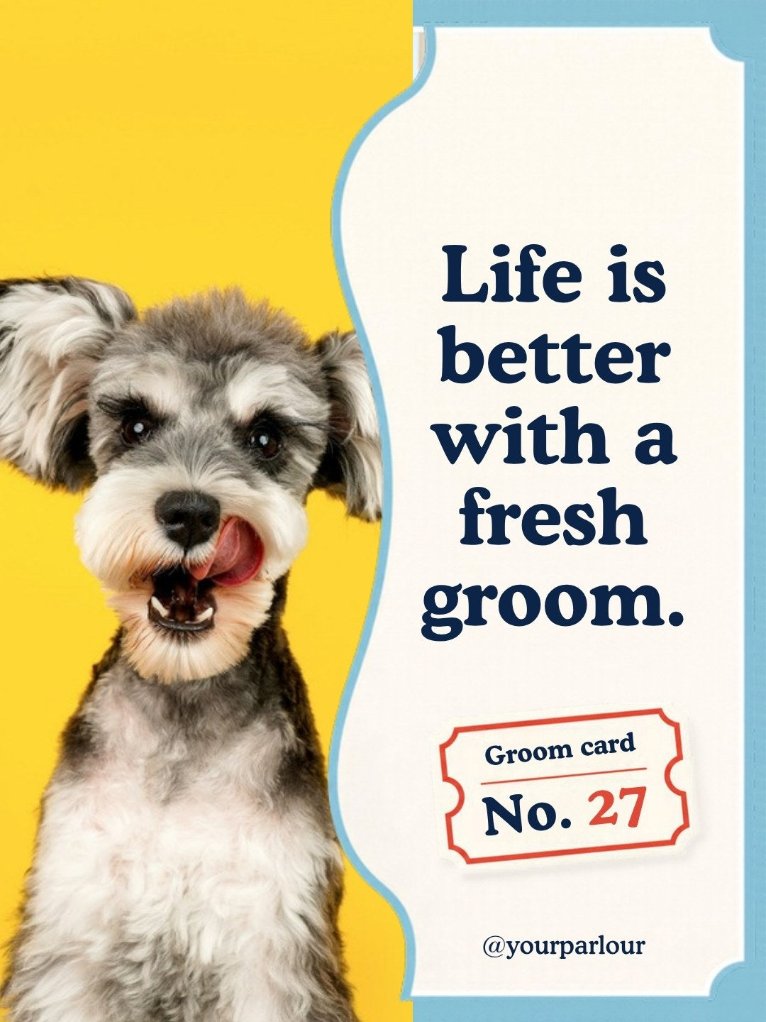 Dog Groomer Pack example post, page 4