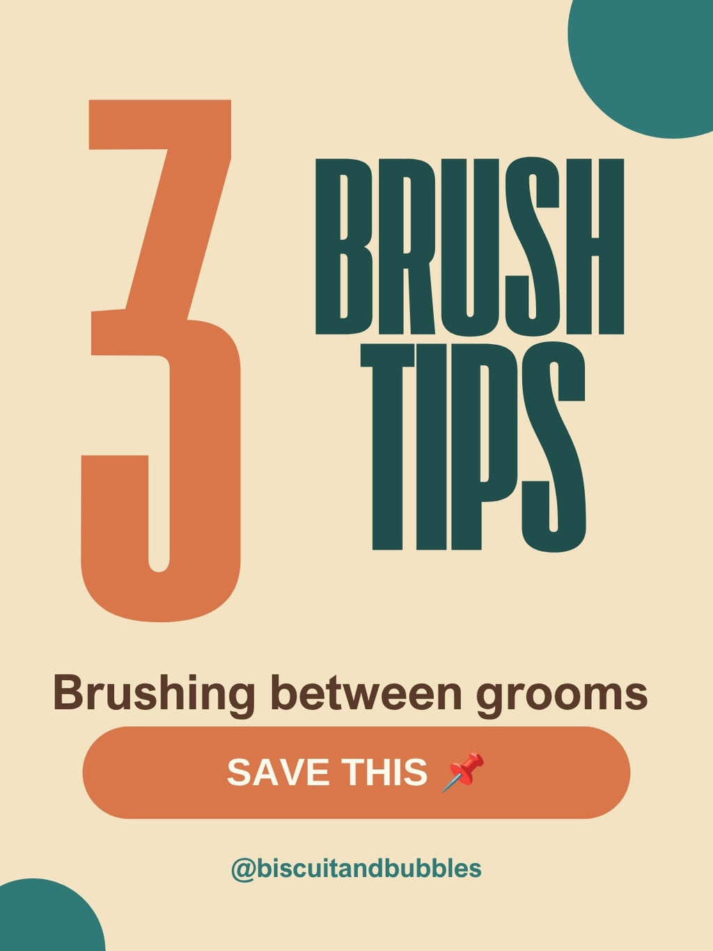 Dog Groomer pack example: 3 brush tips post