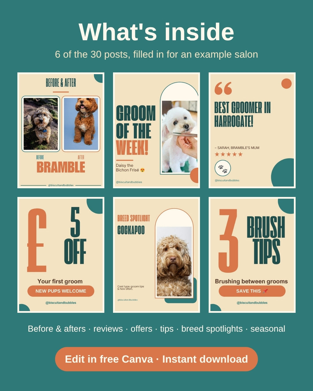 What's inside the Dog Groomer Pack: 6 of the 30 posts filled in for an example salon, including before and after, reviews, offers, tips and breed spotlights.