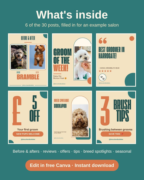 What's inside the Dog Groomer Pack: 6 of the 30 posts filled in for an example salon, including before and after, reviews, offers, tips and breed spotlights.