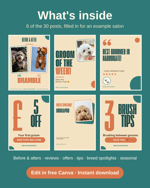 What's inside the Dog Groomer Pack: 6 of the 30 posts filled in for an example salon, including before and after, reviews, offers, tips and breed spotlights.
