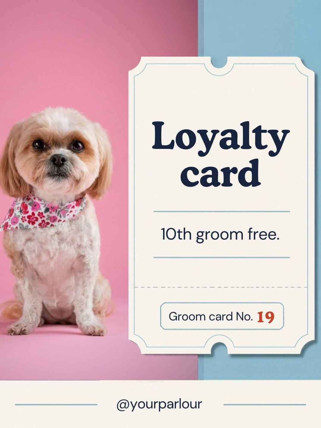 Dog Groomer Pack example post, page 8
