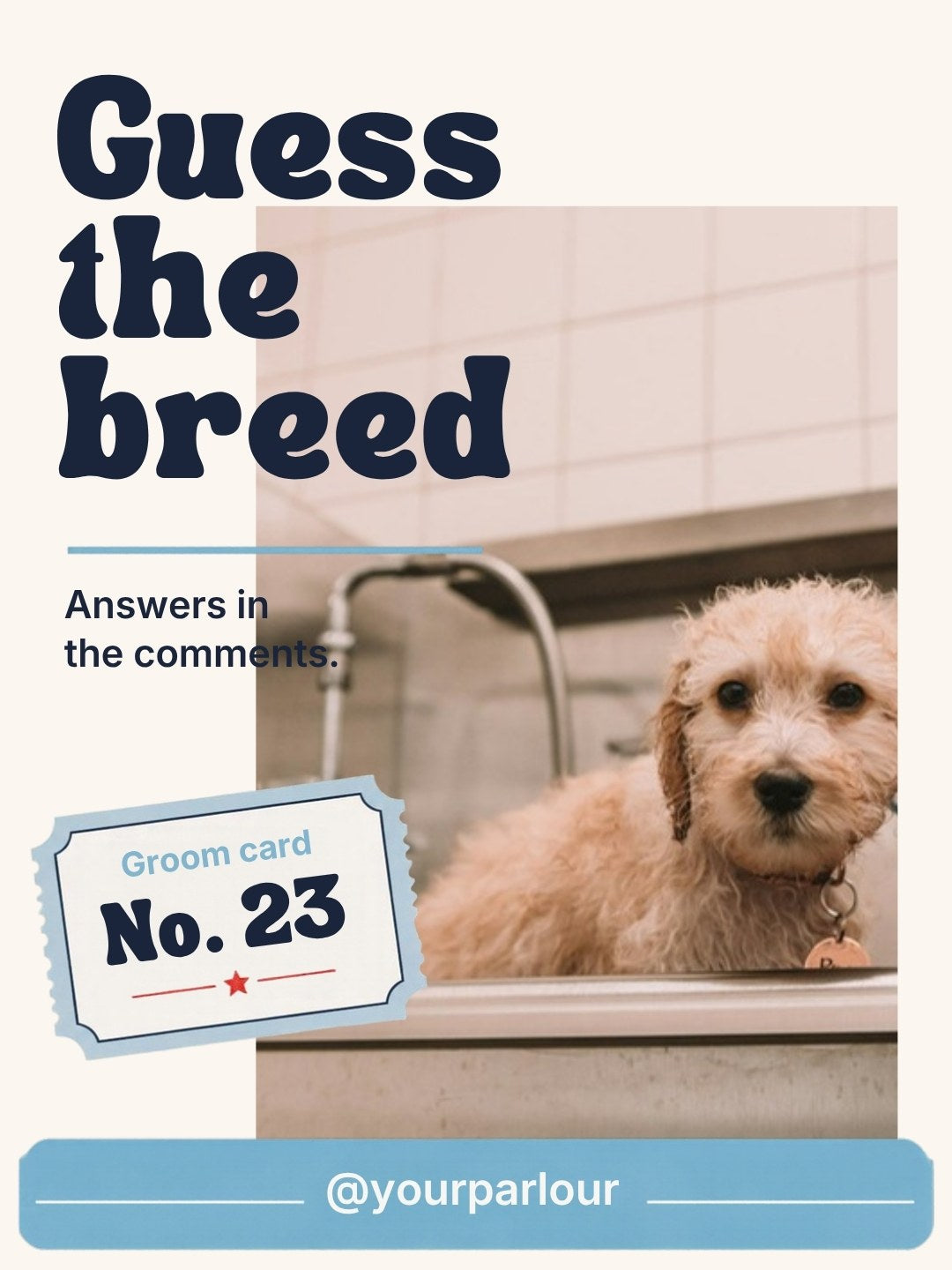 Dog Groomer Pack example post, page 12