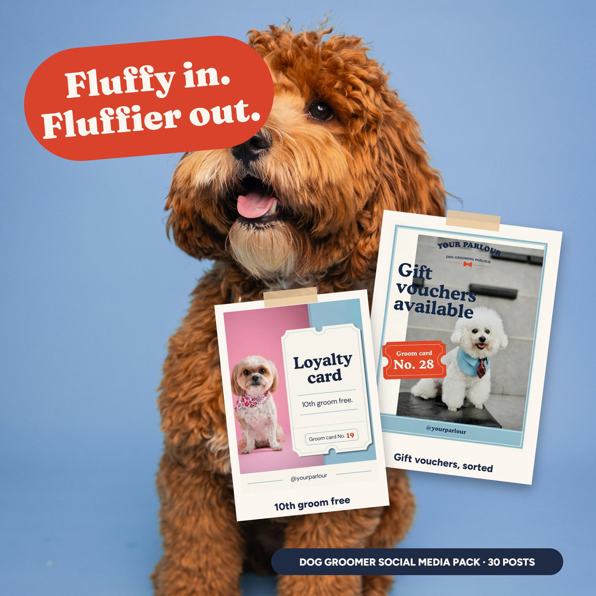 Groomed cockapoo with dog groomer post templates as taped polaroids