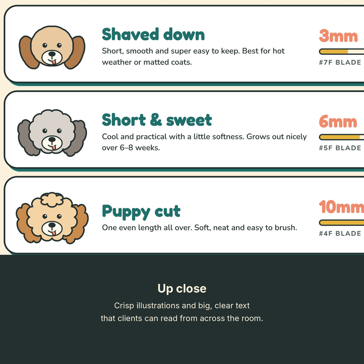 Dog grooming coat length chart poster close-up detail