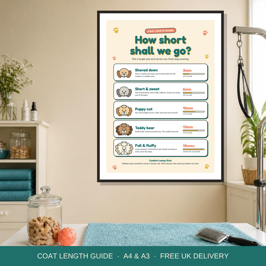 Dog grooming coat length guide framed in a grooming salon