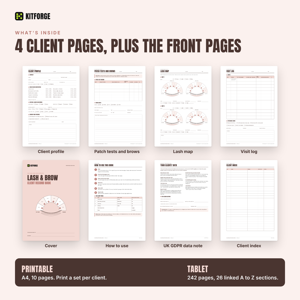KitForge Lash and Brow inside pages